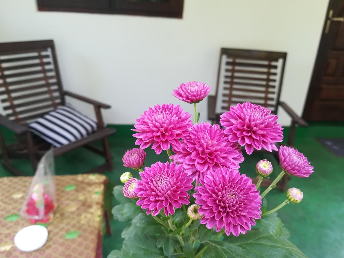 Lakmal Homestay ,10 Minutes To Sigiriya Rock Extérieur photo